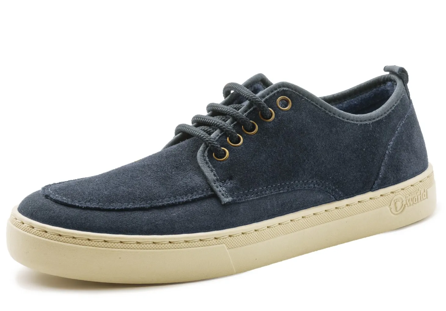 Blucher