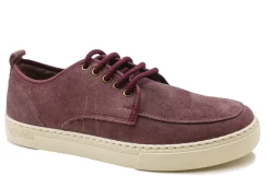 Blucher