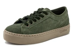 Boston
