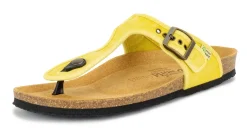 Dorian
