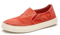 Old Gazelle
