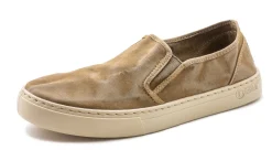 Old Gazelle