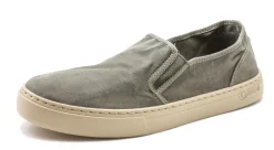 Old Gazelle