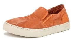 Old Gazelle