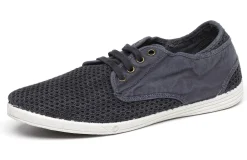 Old Willow